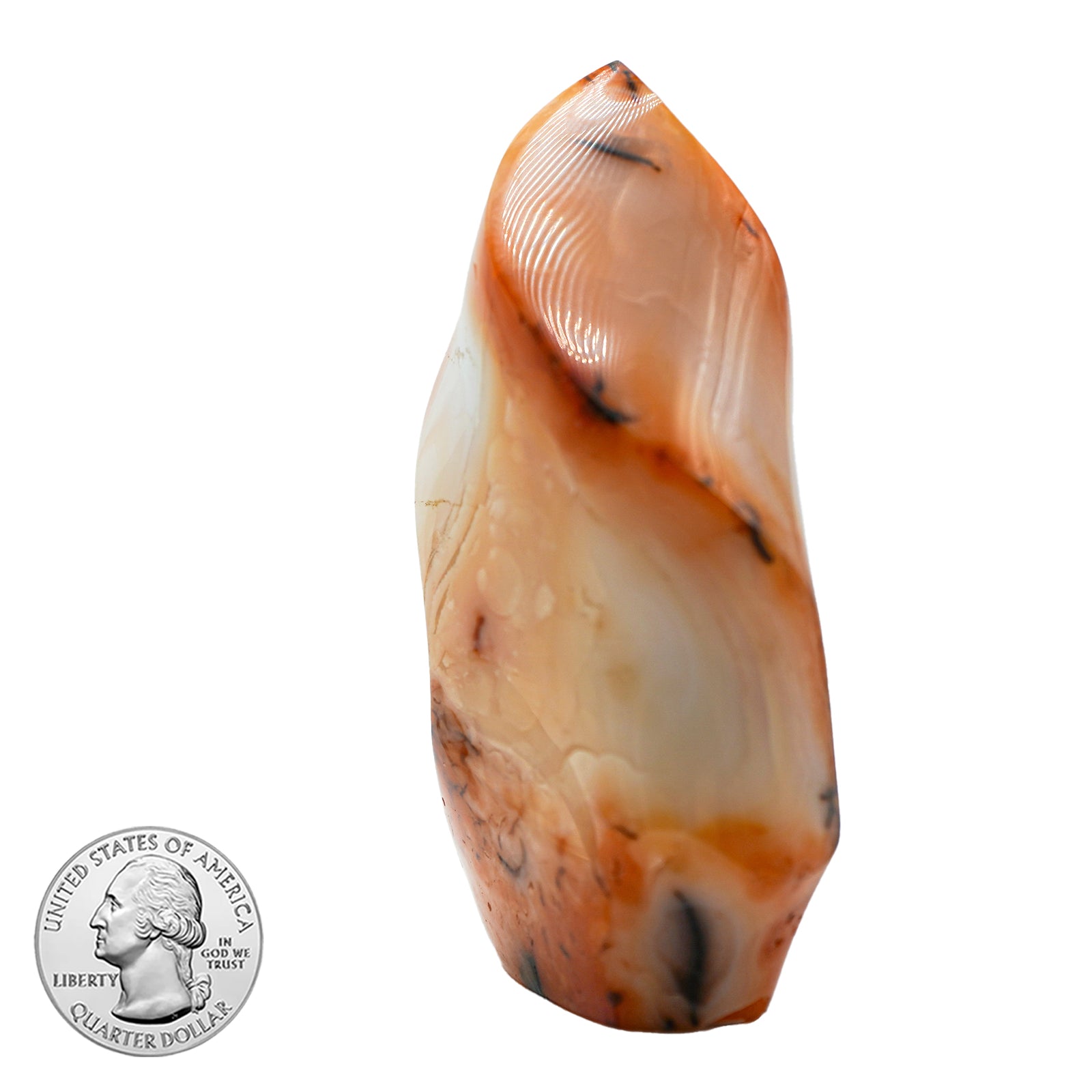 CARNELIAN FREE FORM