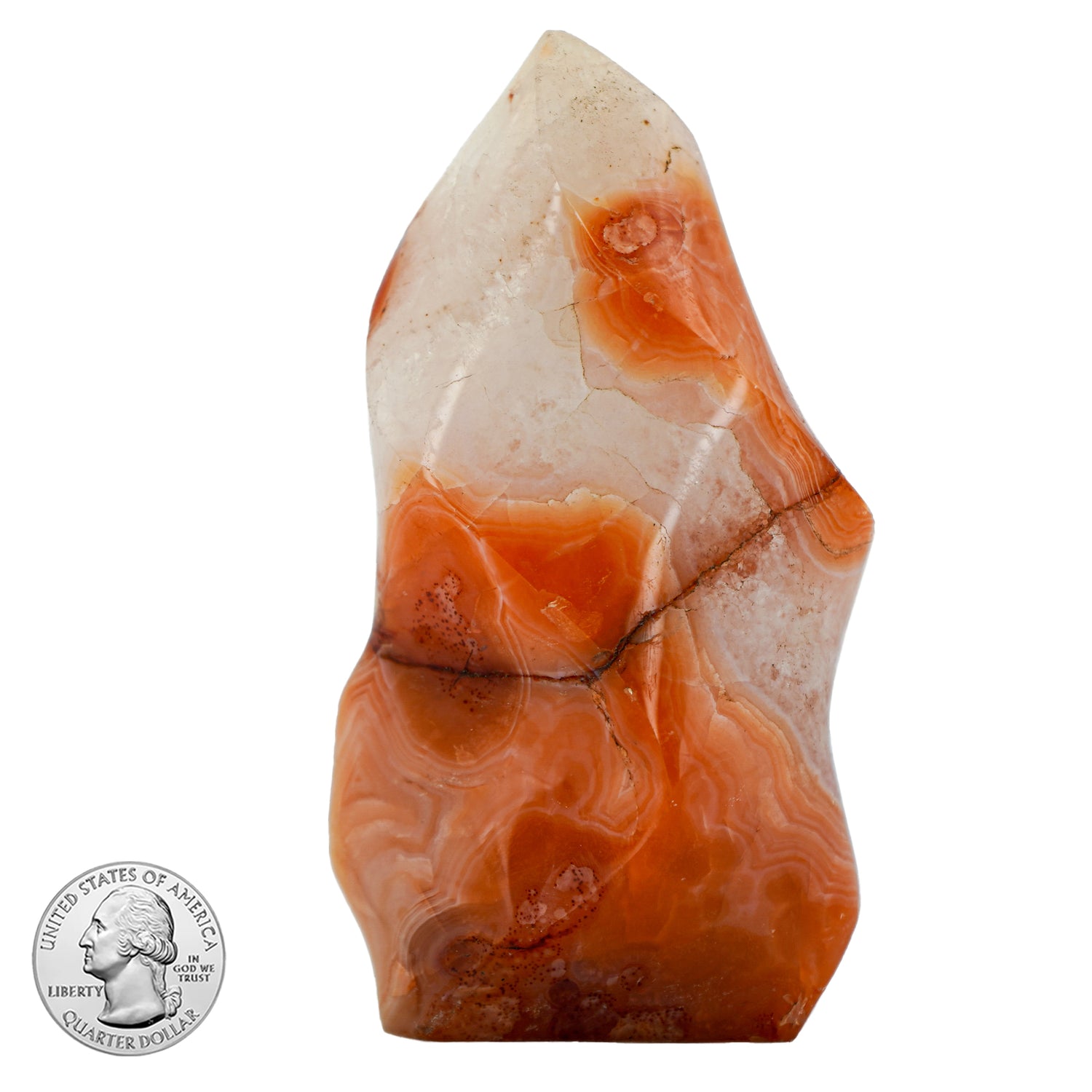 CARNELIAN FREE FORM