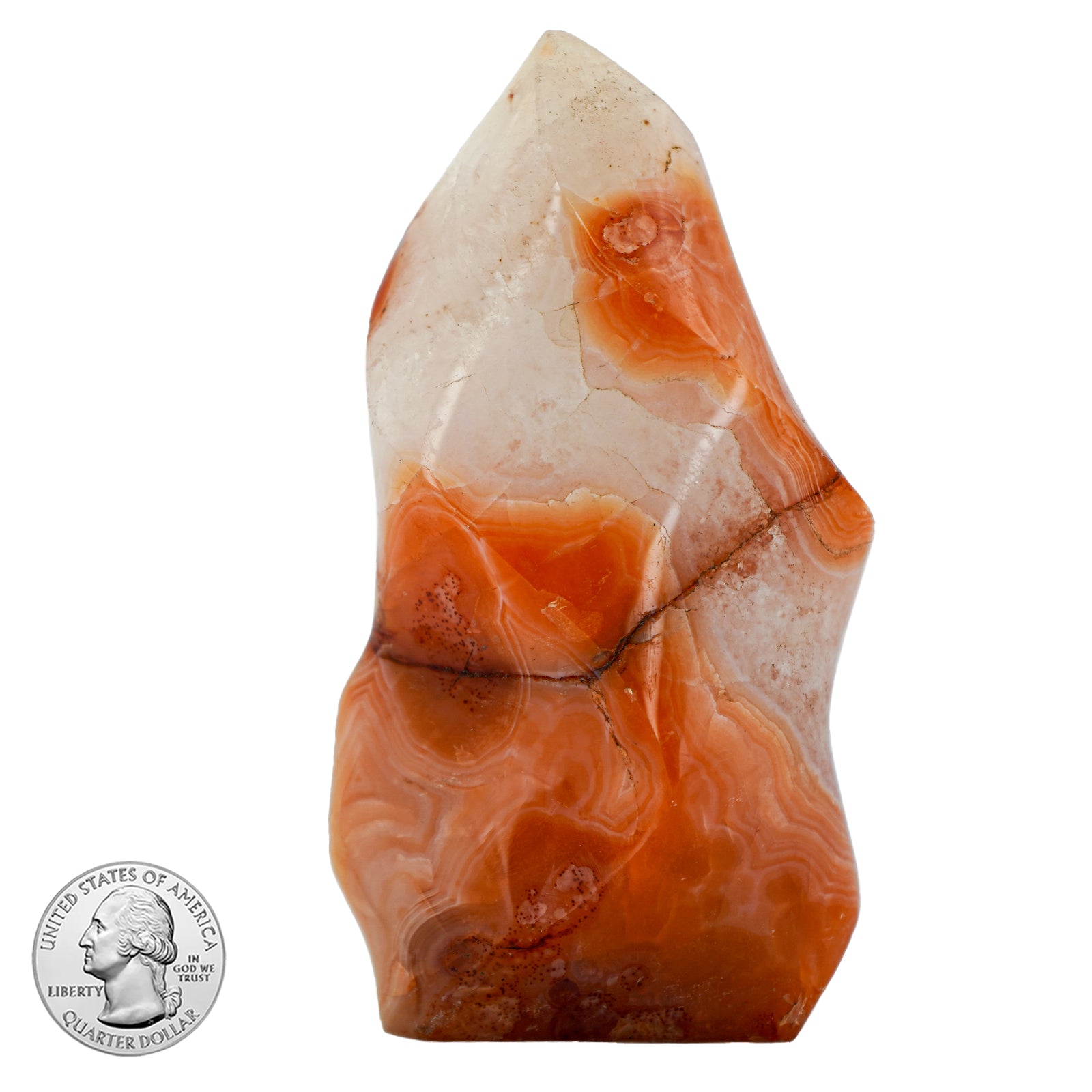 CARNELIAN FREE FORM