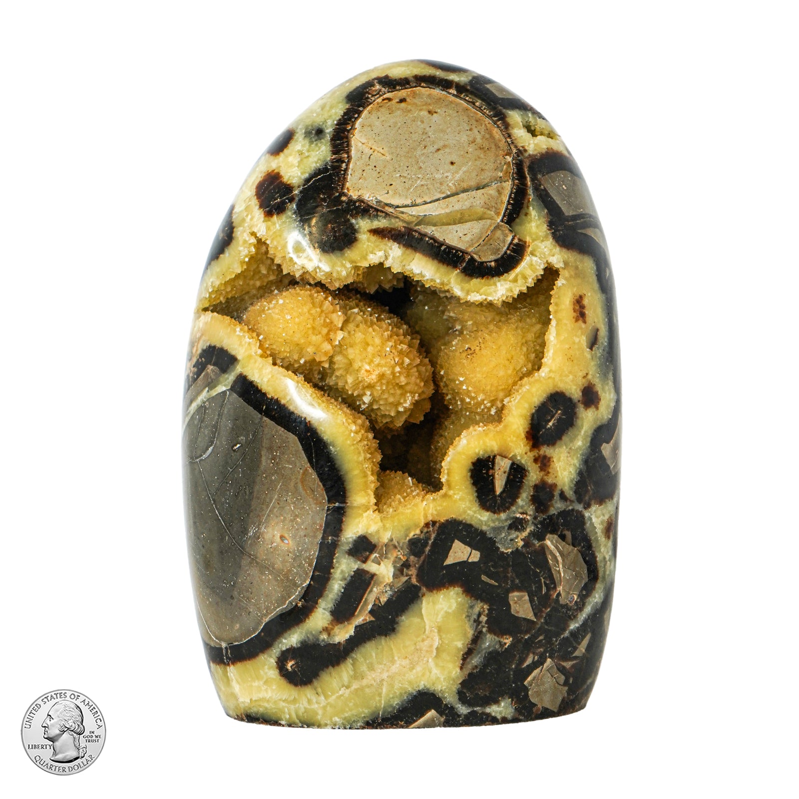 SEPTARIAN FREE FORM