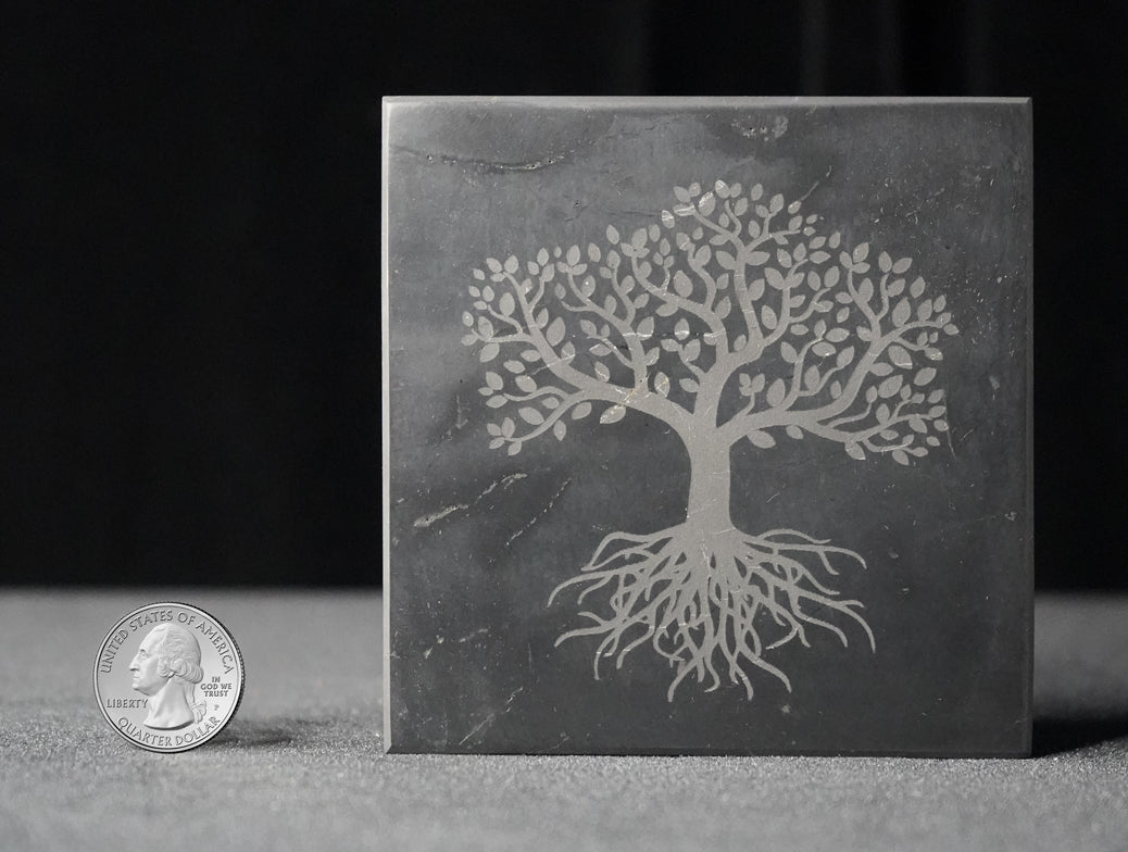 SHUNGITE SQUARE TILE with ENGRAVED TREE OF LIFE
