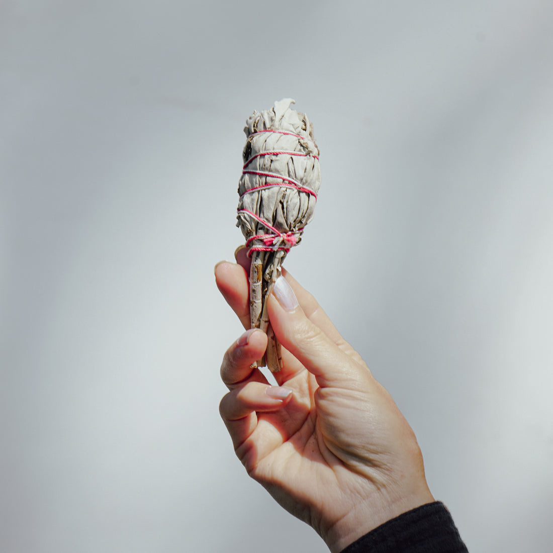 WHITE SAGE SMUDGE STICK (TORCH STYLE) - 4 INCHES