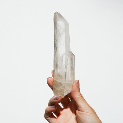 Lemurian Seed Crystal Point