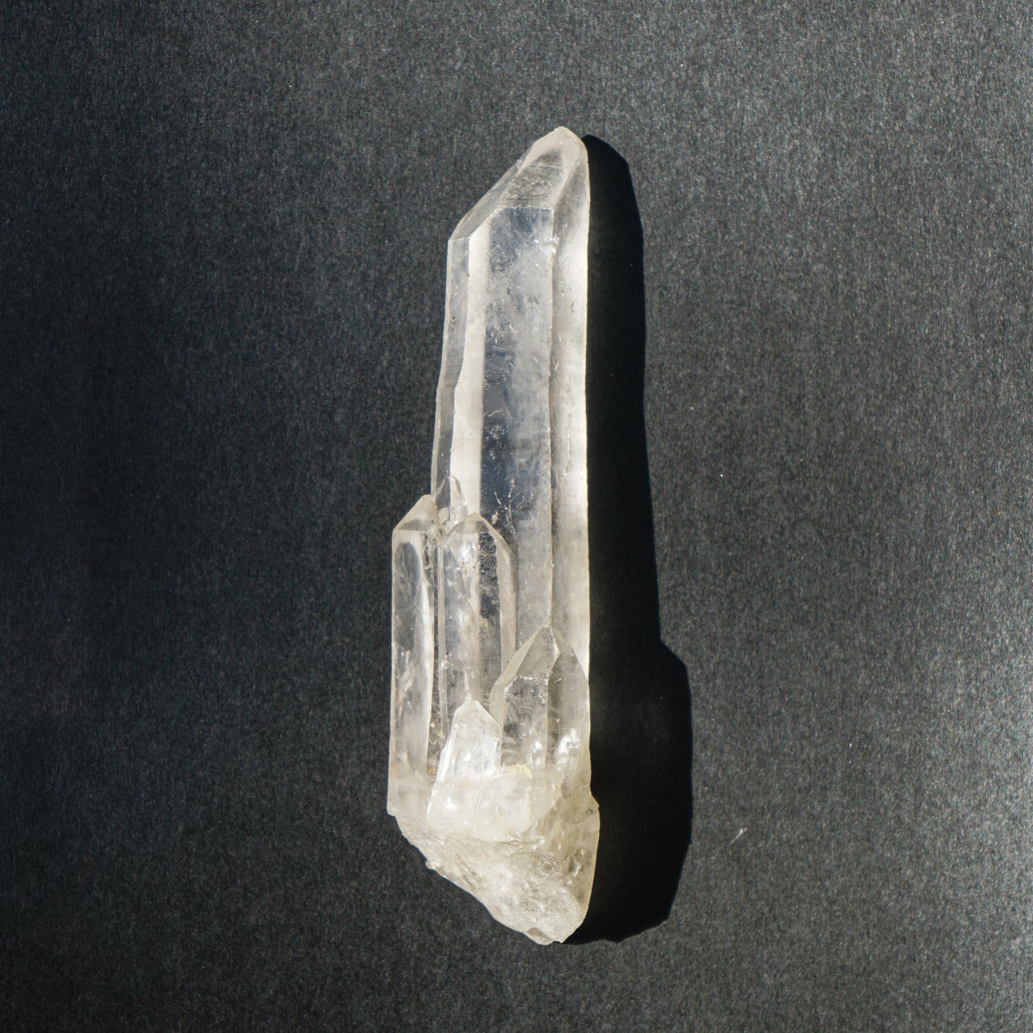 Lemurian Seed Crystal Point