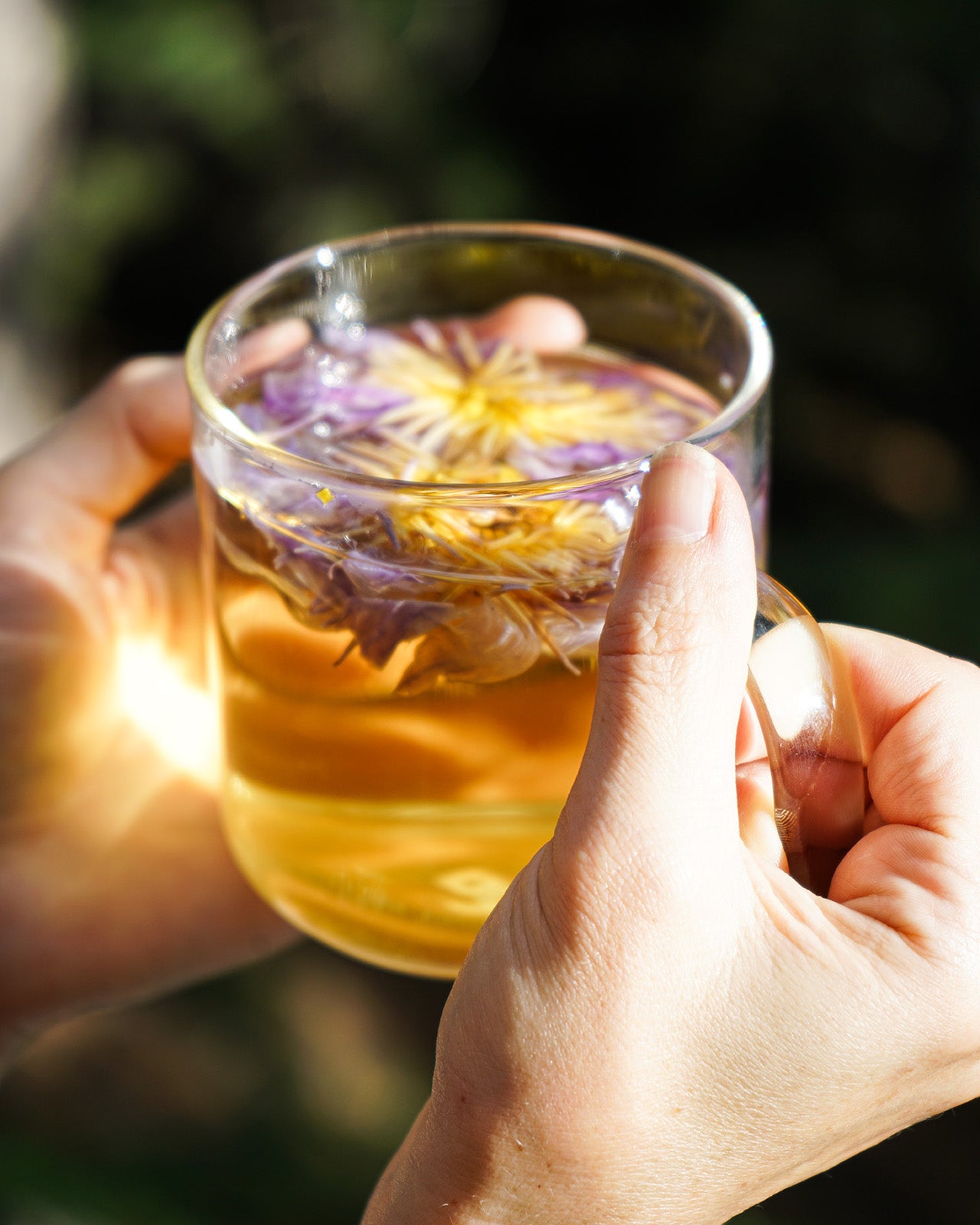 Blue Lotus Tea