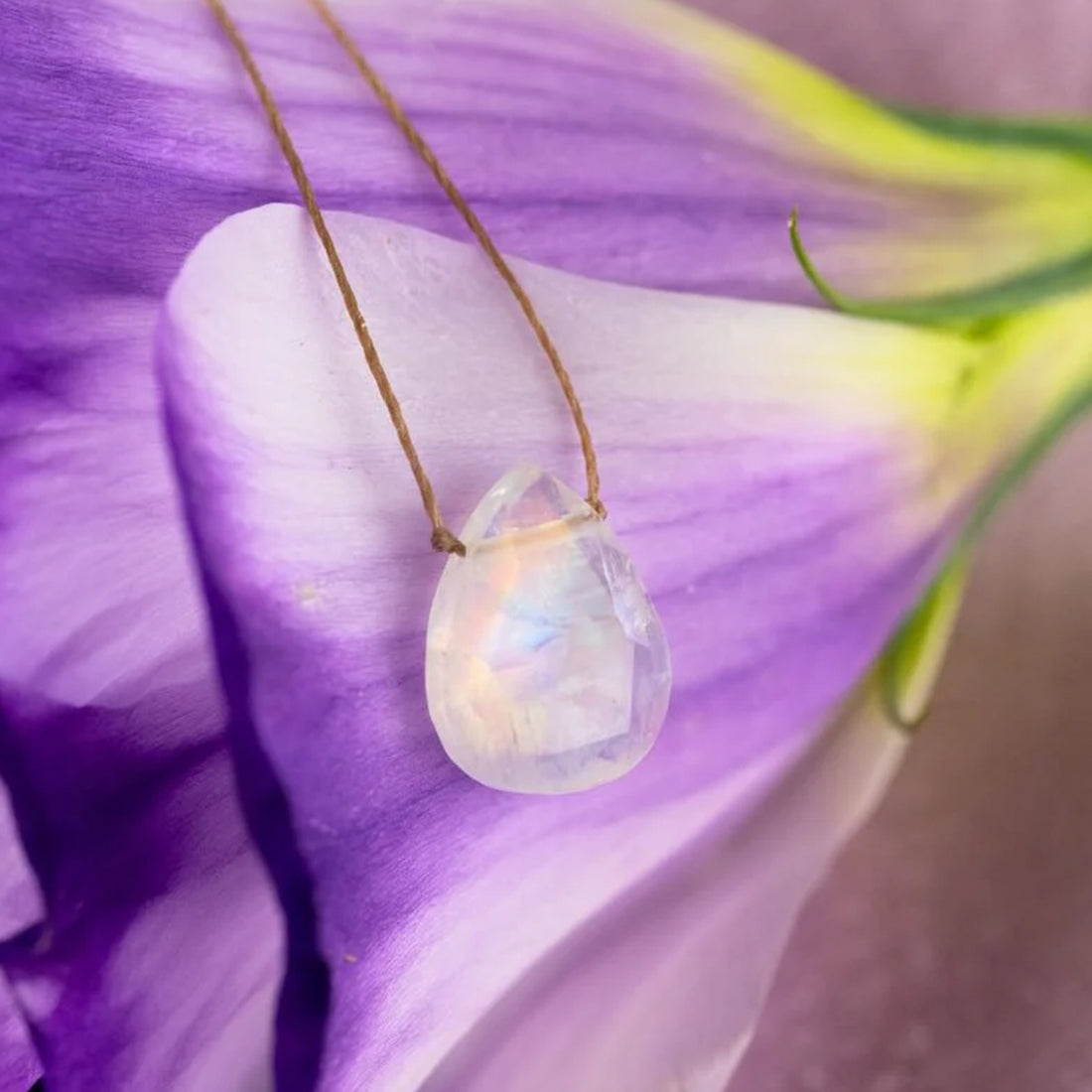 Moonstone Luxe Necklace for Sisterhood