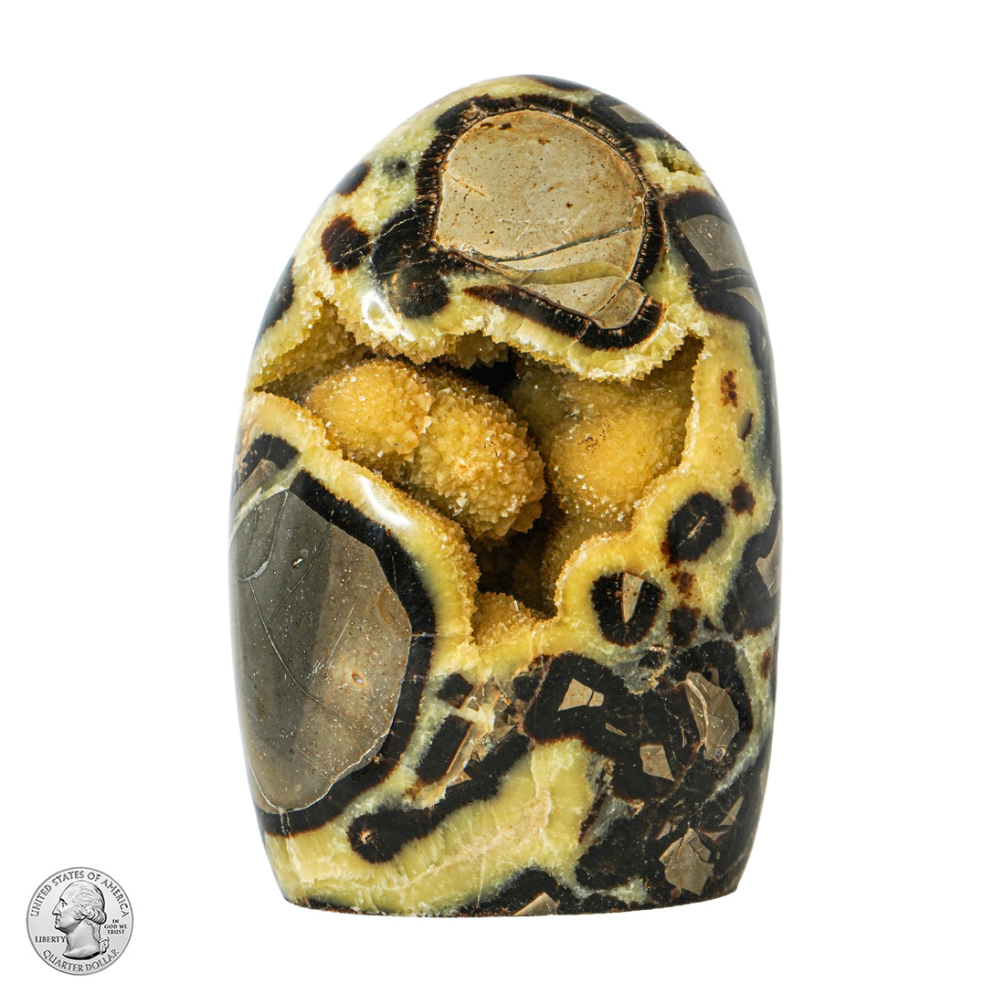 SEPTARIAN FREE FORM