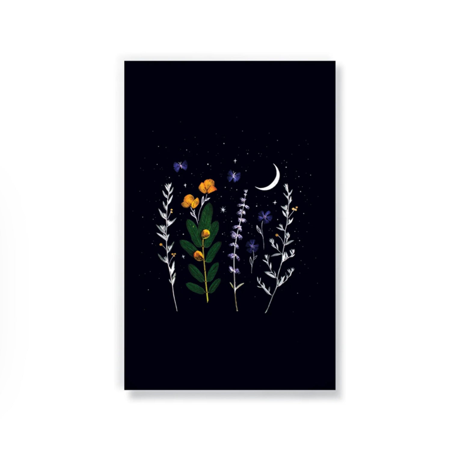 FLOWERING OF CONSCIOUSNESS NOTEBOOK